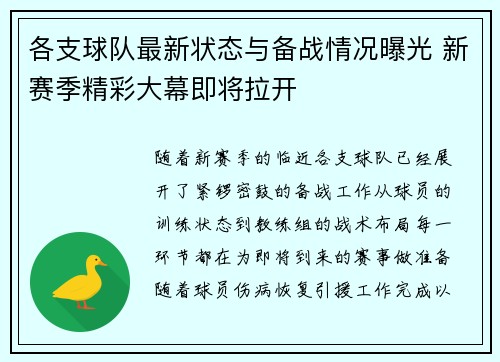 各支球队最新状态与备战情况曝光 新赛季精彩大幕即将拉开